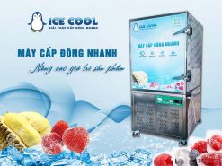 Máy cấp đông nhanh