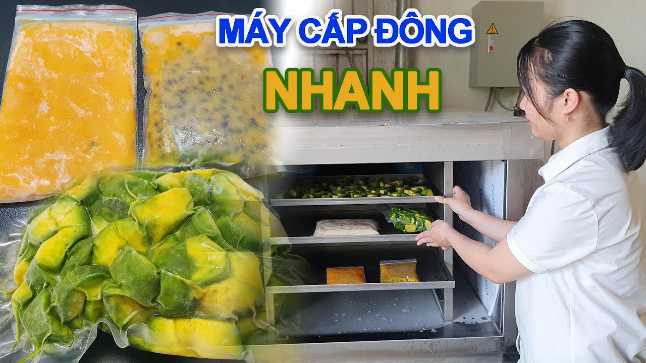 Tại sao bạn nên đầu tư máy cấp đông nhanh