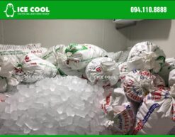 Kho đông lạnh ICE COOL bảo quản đá viên