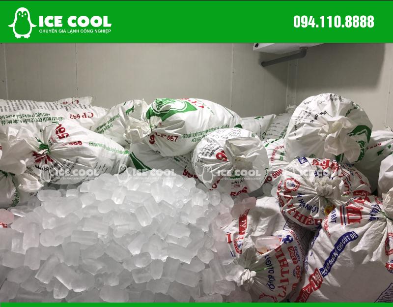 Kho đông lạnh ICE COOL bảo quản đá viên 