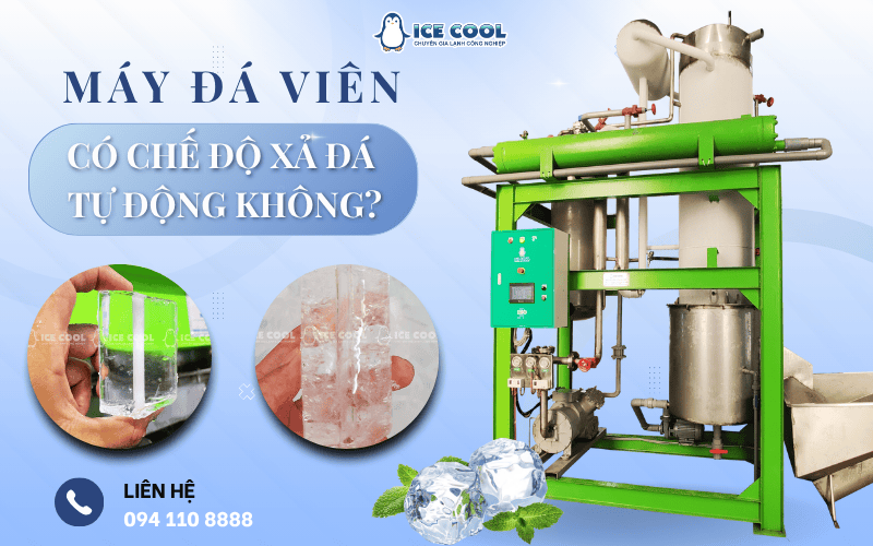 Máy đá viên có chế độ xả đá tự động không?