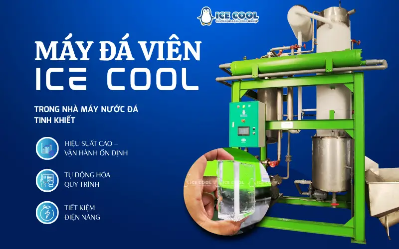 Lợi thế khi sử dụng máy đá viên ICE COOL trong nhà máy nước đá tinh khiết quy mô lớn