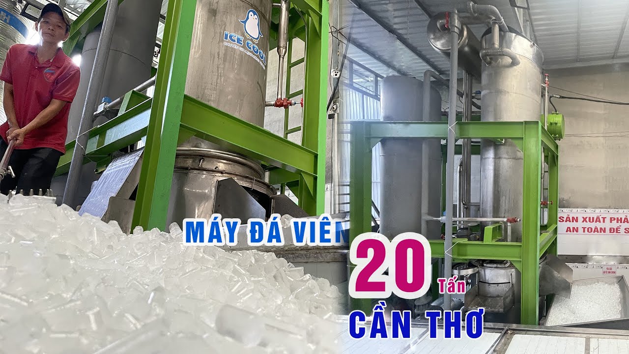 Máy đá viên 20 tấn được lắp đặt tại Cần Thơ