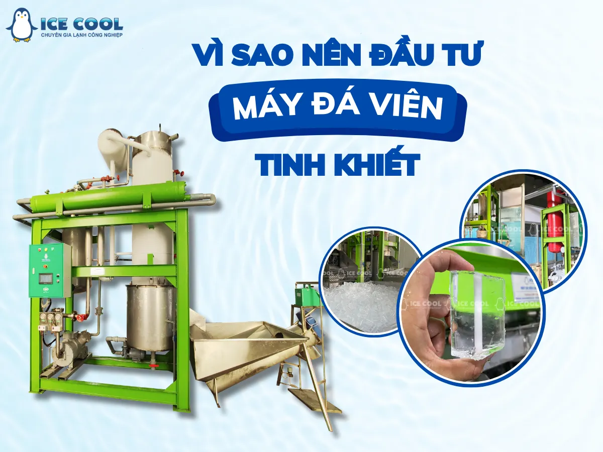 Vì sao nên đầu tư máy làm đá viên tinh khiết