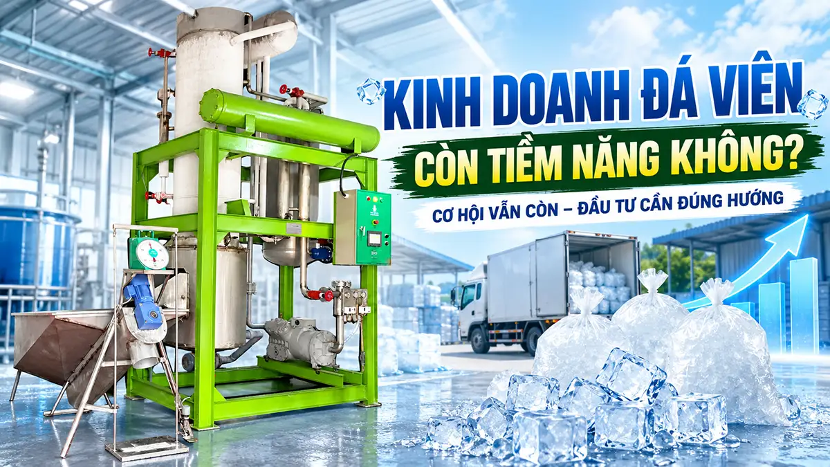 Kinh doanh đá viên còn tiềm năng không? Điều kiện để đầu tư hiệu quả
